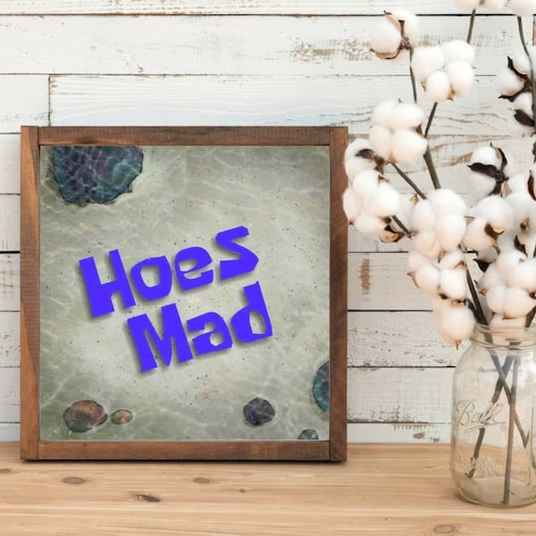Spongebob Inspired Sign, Hoes Mad Wooden Sign, Funny Quote Sign for Dorm Room, Game Room, Meme Wall Art, Unique Quote Plaque, Novelty Gift