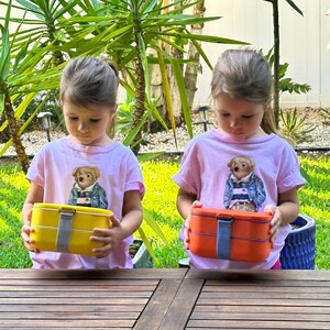 Premium Bento Box for Adults and Kids, Japanese Lunch Box with Leakproof 2 Containers, Lunch Bento Box Containers BPA-free