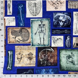Tecido de algodão para patchwork True Detective, vendido por metro - Desenhos vintage de esqueleto, crânio, partes do corpo, órgãos e anatomia, inspirados em ciência forense e laboratórios.