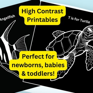 High Contrast Baby Printable Book Sea Ocean Animals ABC Digital Download