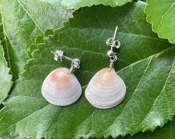 Handmade Sterling Silver Natural Shell Earrings