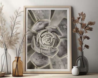 Succulent poster, botanical photography of a cactus plant in Scandi style