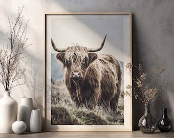 Scottish Highland Cattle Poster, nature photography of a highland cow in a pasture