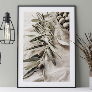 Olive branch poster, Mediterranean photography of an olive harvest in the summer sun