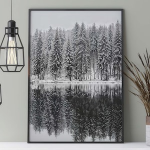 Verschneiter See im Wald Poster, schwarz-weiß Natur Fotografie einer winterlichen Landschaft, gefrorener See im Winter