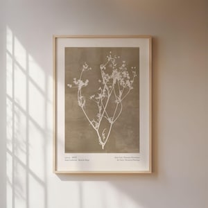 Poster nordico, illustrazione botanica su sfondo marrone, stampa artistica vintage, arte murale minimalista