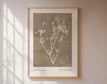 Nordic Poster, Botanical Illustration on a Brown Background, Vintage Art Print, Minimalist Wall Art