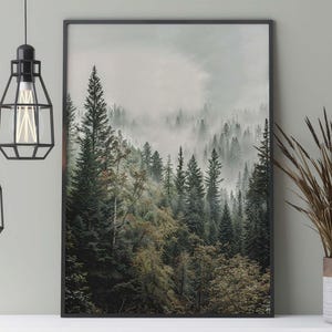 Wald im Nebel Poster im Skandi Stil, Vintage Fotografie eines nebligen Waldes