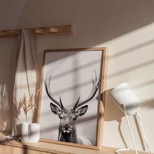 May include: A framed black and white photograph of a deer with large antlers. The photo is hanging on a light wood wall with a white lamp and a light brown cabinet below.