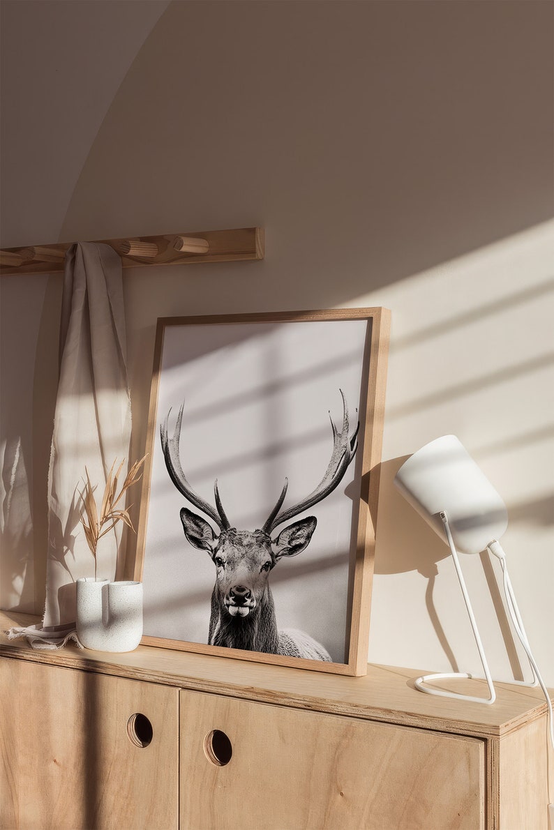 May include: A framed black and white photograph of a deer with large antlers. The photo is hanging on a light wood wall with a white lamp and a light brown cabinet below.