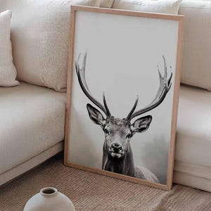 Majestic Deer Poster, black and white portrait photograph of a deer with mighty antlers image 4