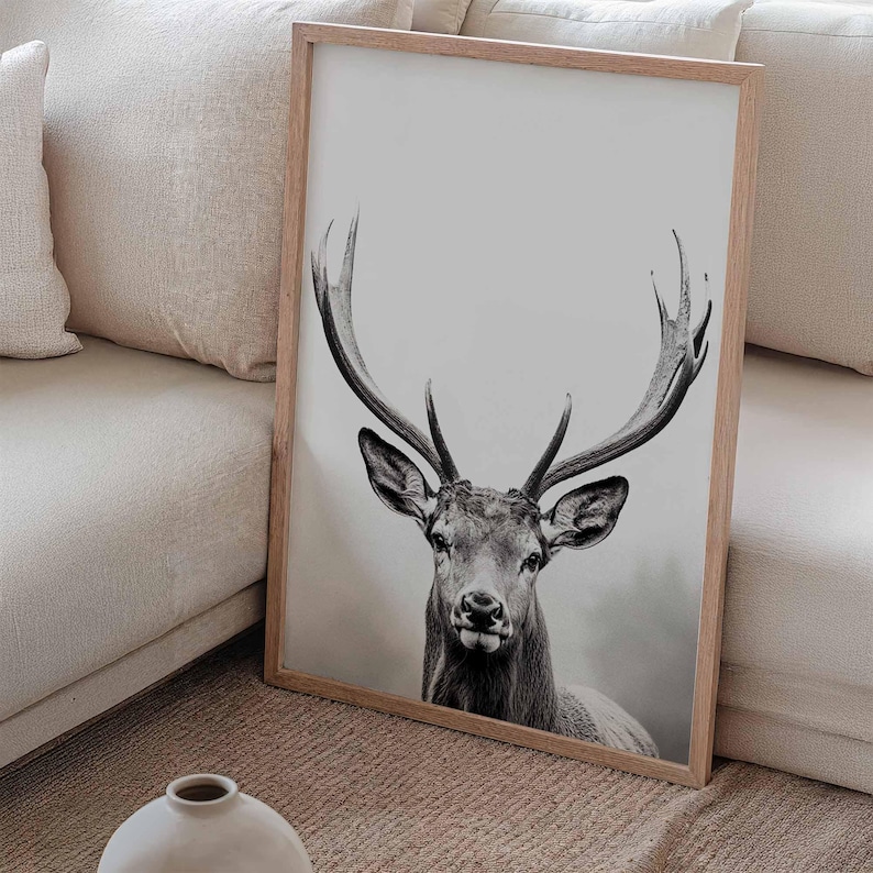 Majestic Deer Poster, black and white portrait photograph of a deer with mighty antlers image 4