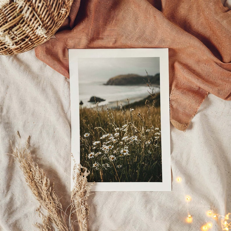 Daisies by the Ocean Poster, Nature Photography of Flowers on the Beach Overlooking the Sea image 8