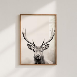 Majestic Deer Poster, black and white portrait photograph of a deer with mighty antlers image 1