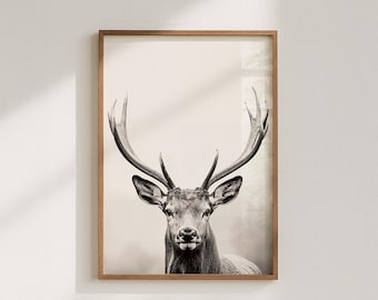 Majestic Deer Poster, black and white portrait photograph of a deer with mighty antlers