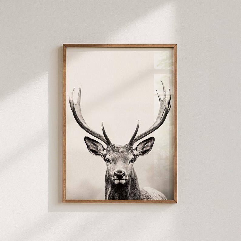Majestic Deer Poster, black and white portrait photograph of a deer with mighty antlers image 1
