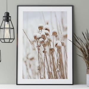 Flowers in the snow poster, nature photography of a snowy meadow in winter in Scandi style, white winter landscape