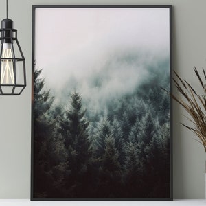 Mystical forest in the fog poster, nature photography in Scandi style, wafts of fog over trees