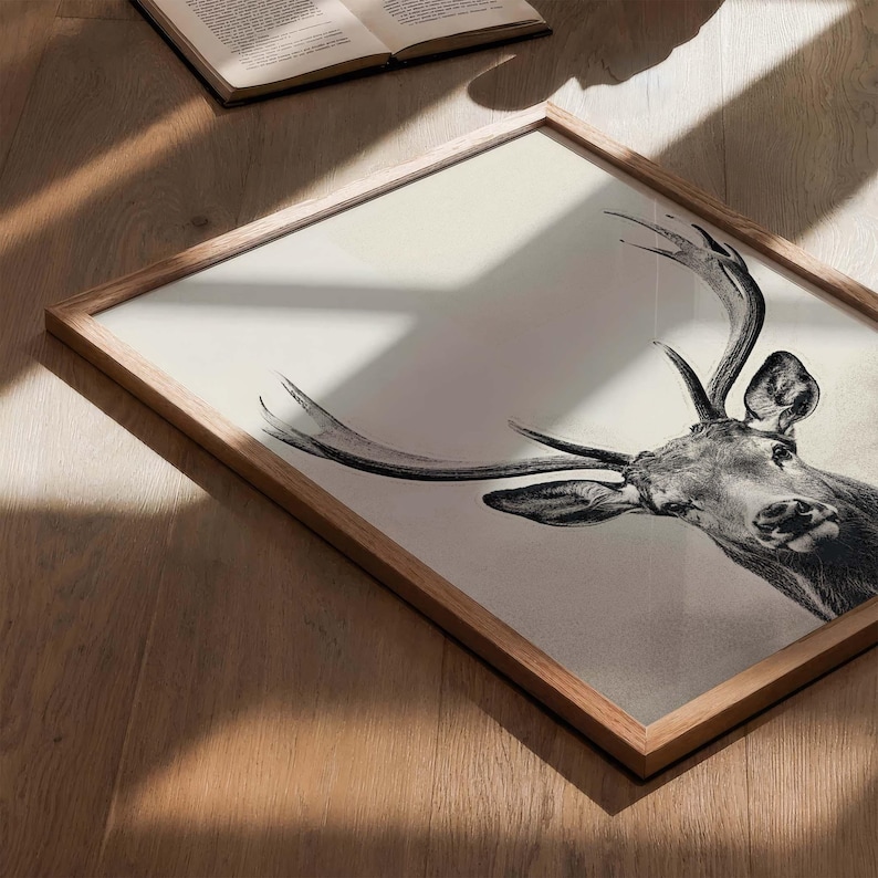 Majestic Deer Poster, black and white portrait photograph of a deer with mighty antlers image 5