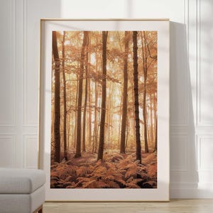 Poster della foresta autunnale, fotografia naturalistica di una foresta autunnale, inondata di luce solare, alberi autunnali colorati