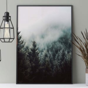 Mystischer Wald im Nebel Poster, Natur Fotografie im Skandi Stil, Nebelschwaden über Bäumen