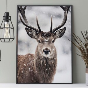 Hirsch im Winter Poster, winterliche Natur Fotografie eines Hirsch in einem verschneiten Wald