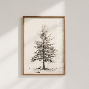 Snowy coniferous tree poster, winter nature photography of a tree in the snow, snowy winter landscape, wonderful winter romance