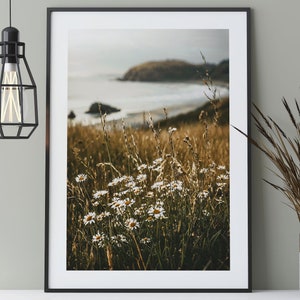 Daisies by the Ocean Poster, Nature Photography of Flowers on the Beach Overlooking the Sea image 1