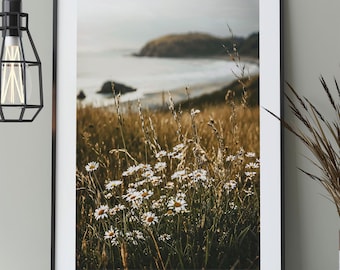 Affiche de marguerites au bord de l’océan, photographie naturelle de fleurs sur la plage surplombant la mer