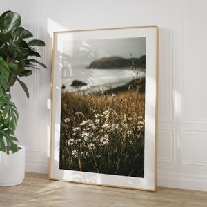 Daisies by the Ocean Poster, Nature Photography of Flowers on the Beach Overlooking the Sea image 4