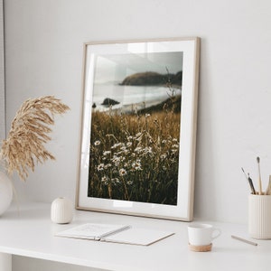 Daisies by the Ocean Poster, Nature Photography of Flowers on the Beach Overlooking the Sea image 2