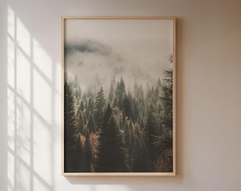 Groen bos in de mist, poster in vintage stijl, sfeervolle natuurfotografie van een mistig herfstbos.