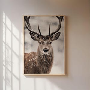 Deer in winter poster, winter nature photography of a deer in a snowy forest