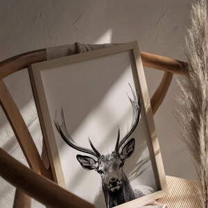 Majestic Deer Poster, black and white portrait photograph of a deer with mighty antlers image 7