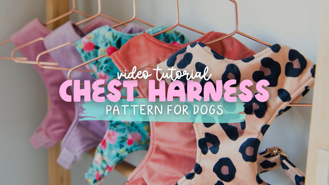 Dog Chest Harness Pattern Dog Harness DIY Sewing Pattern Easy Dog