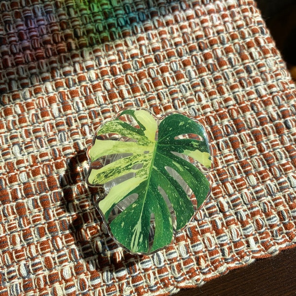 Variegated Monstera Phone Grips