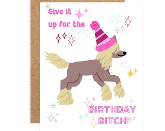 Funny Dog Birthday Card: Snarky Humor for Dog Lover