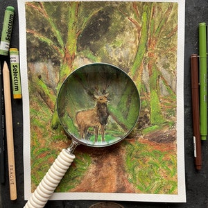 Pittura tecnica mista originale 8"x 10" / ALCE nella VECCHIA FORESTA / arte della foresta muschiosa / estetica della foresta profonda / boschi rigogliosi / arte dell'Isola di Vancouver