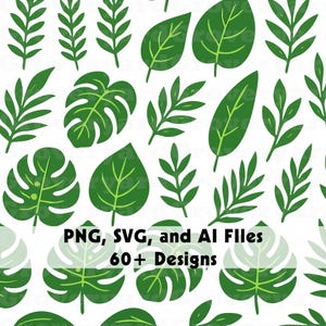 Tropische Blätter SVG Dschungel Clipart Bundle, Monstera Schneidedateien, Palmenblatt Schnittdatei, Hibiskus AI, Grün, Laub Vorlage, Elefanten Ohr