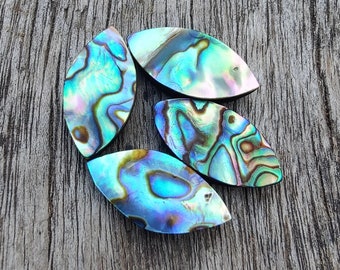 AAA+ Quality Natural Abalone Shell Marquise Shape Cabochon Flat Back Calibrated Wholesale Gemstones, All Sizes Available