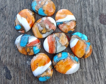 AAA+ Quality Natural Spiny Oyster Turquoise Cabochon: Orange-Blue-White Oval Shape  Calibrated Gemstone.