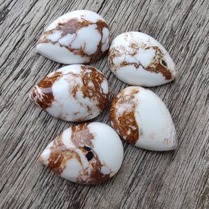 Puede incluir: Cinco piedras en forma de l&aacute;grima blancas y marrones con vetas marrones.
