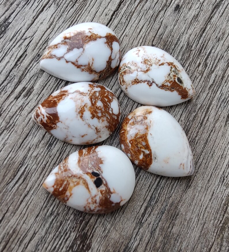 Puede incluir: Cinco piedras en forma de l&aacute;grima blancas y marrones con vetas marrones.