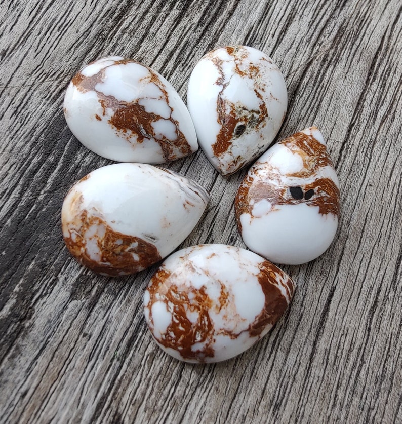 Puede incluir: Cinco cabujones de color blanco en forma de l&aacute;grima con vetas marrones. Los cabujones est&aacute;n dispuestos en c&iacute;rculo sobre una superficie de madera.