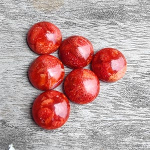 Peut inclure: Six cabochons ronds en corail rouge poli. Le corail présente un aspect naturel et texturé avec des variations de couleur, allant du rouge vif à un rouge-orangé plus clair. Les cabochons sont disposés sur une surface en bois grise.