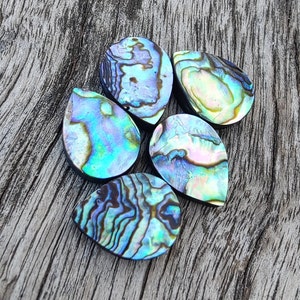 AAA+ Abalone Shell Cabochon: Naturliga päronformade kalibrerade ädelstenar
