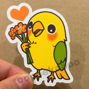 Papagei hält Blumen Aufkleber, Papagei hält Blumen Aufkleber, Valentinstag Geschenk Liebesvögel, Vogelbalz, matter Papageienliebhaber Aufkleber, lustiges meme birb