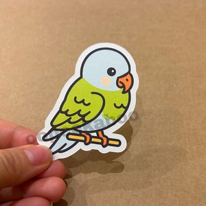Parrot sticker, bird stickers, parrot laptop stickers, bird water bottle stickers, cute birdy, matte water resistant decorative sticker