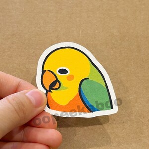 Verärgerter Papagei Aufkleber, mittleren Alters Papagei Meme, Vogel Unterzeichnung & Gefühl frustriert, matte Aufkleber, Vogel Laptop Aufkleber, lustige Vogel Meme Aufkleber