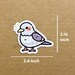 Shy Pigeon Sticker, Bird Stickers, Pigeon Laptop Stickers, Bird Water ...